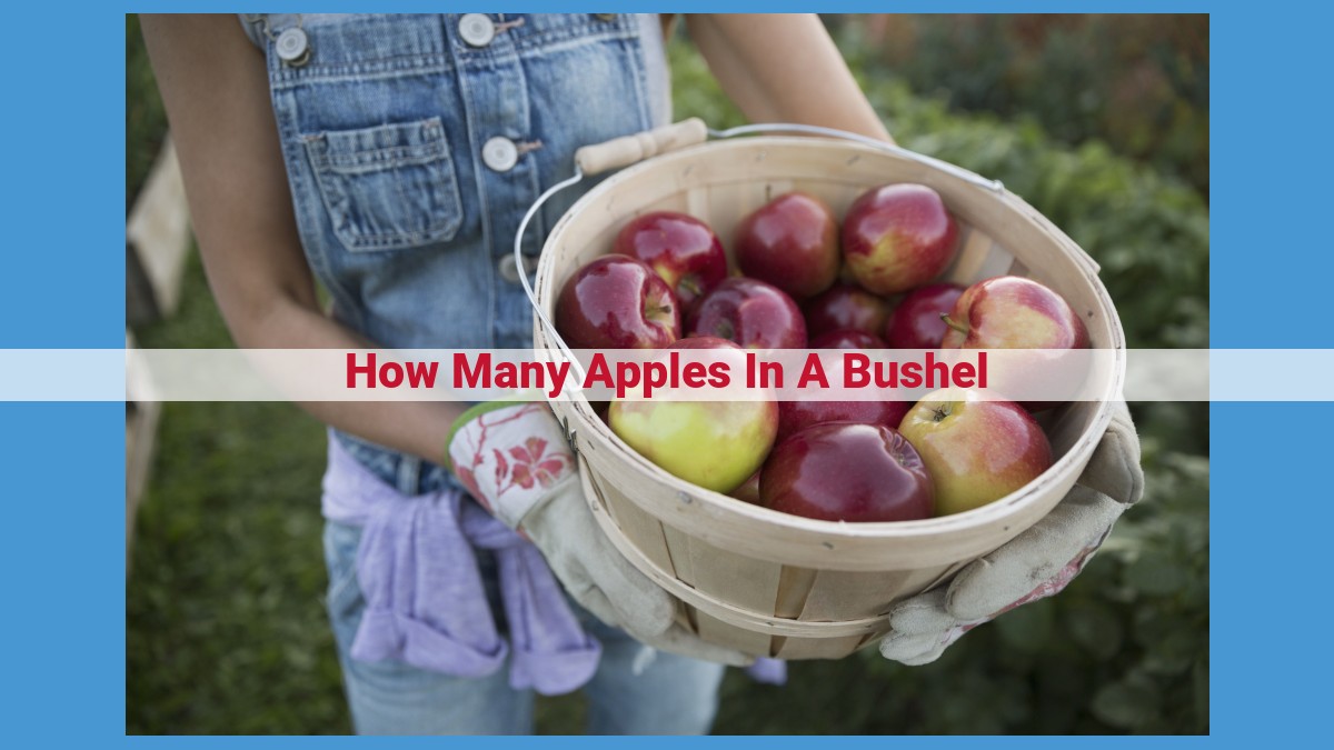 Apple Count in a Bushel: Factors Affecting Variation and Maximization Techniques