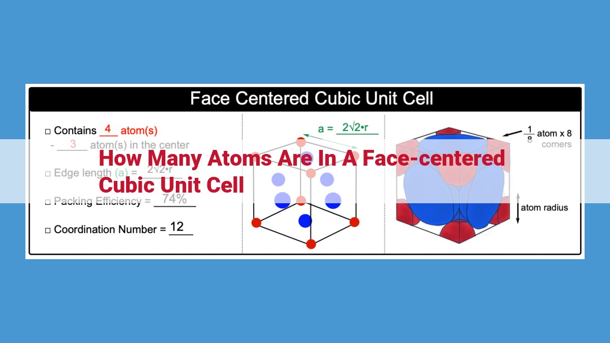 Understanding the Face-Centered Cubic Unit Cell and Its Composition