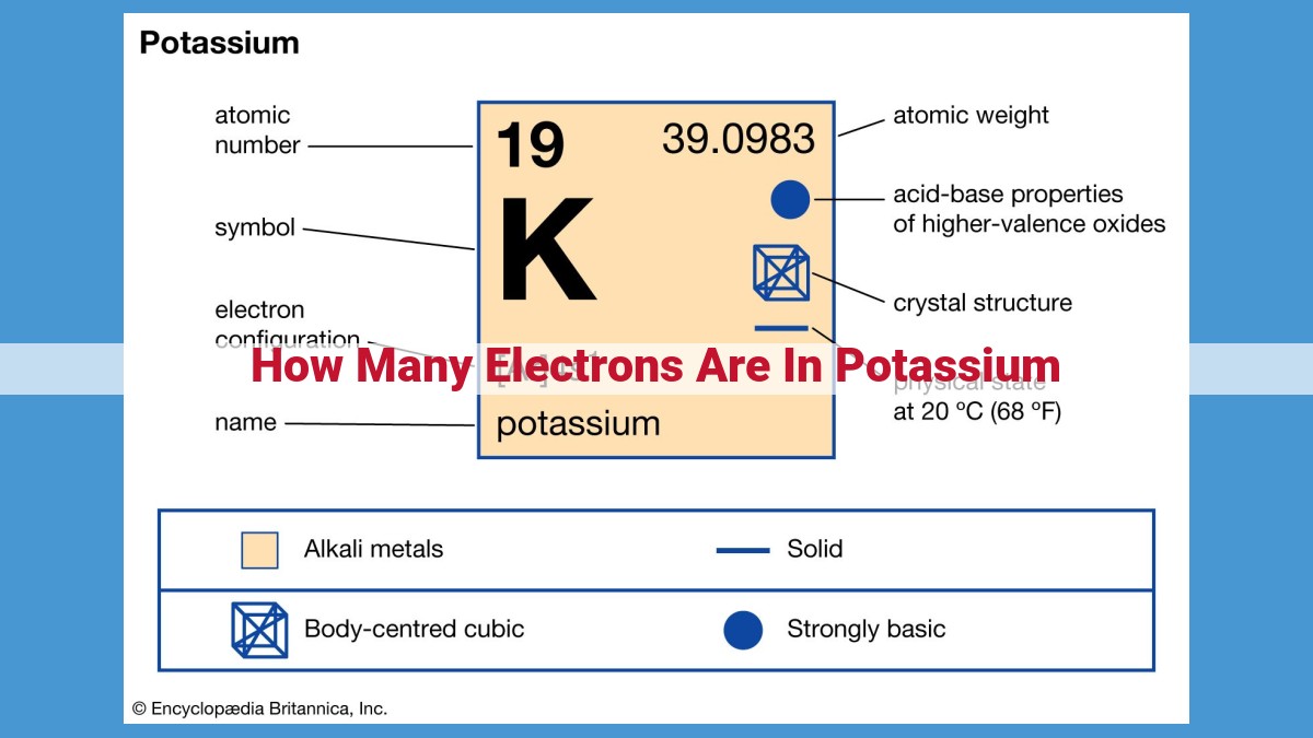 Potassium: Exploring its Atomic Structure, Properties, and Biological Significance