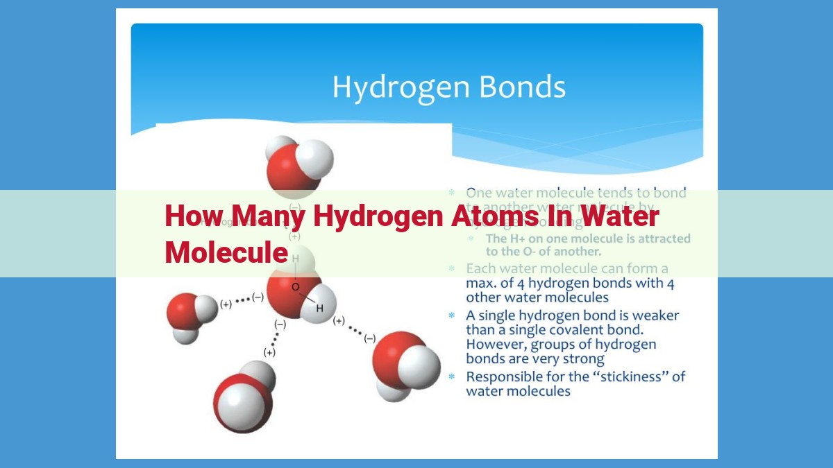 Understanding the Hydrogen Atoms in Water: Key to Its Properties