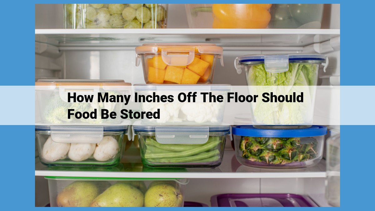 Prevent Food Poisoning: Essential Food Storage Practices Off the Floor