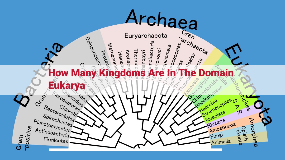 Explore the Realm of Domain Eukarya: Kingdoms and Complexity