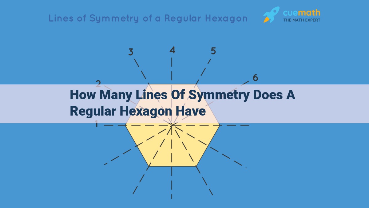 Symmetry in a Hexagon: Intricate Lines, Rotational Order, and Geometric Harmony