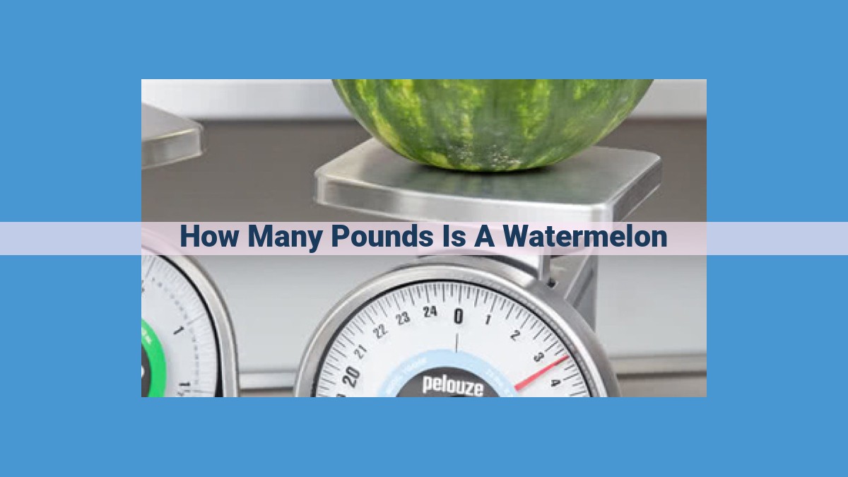 Unveiling Watermelon Weight: A Guide to Estimate Size and Nutritional Value