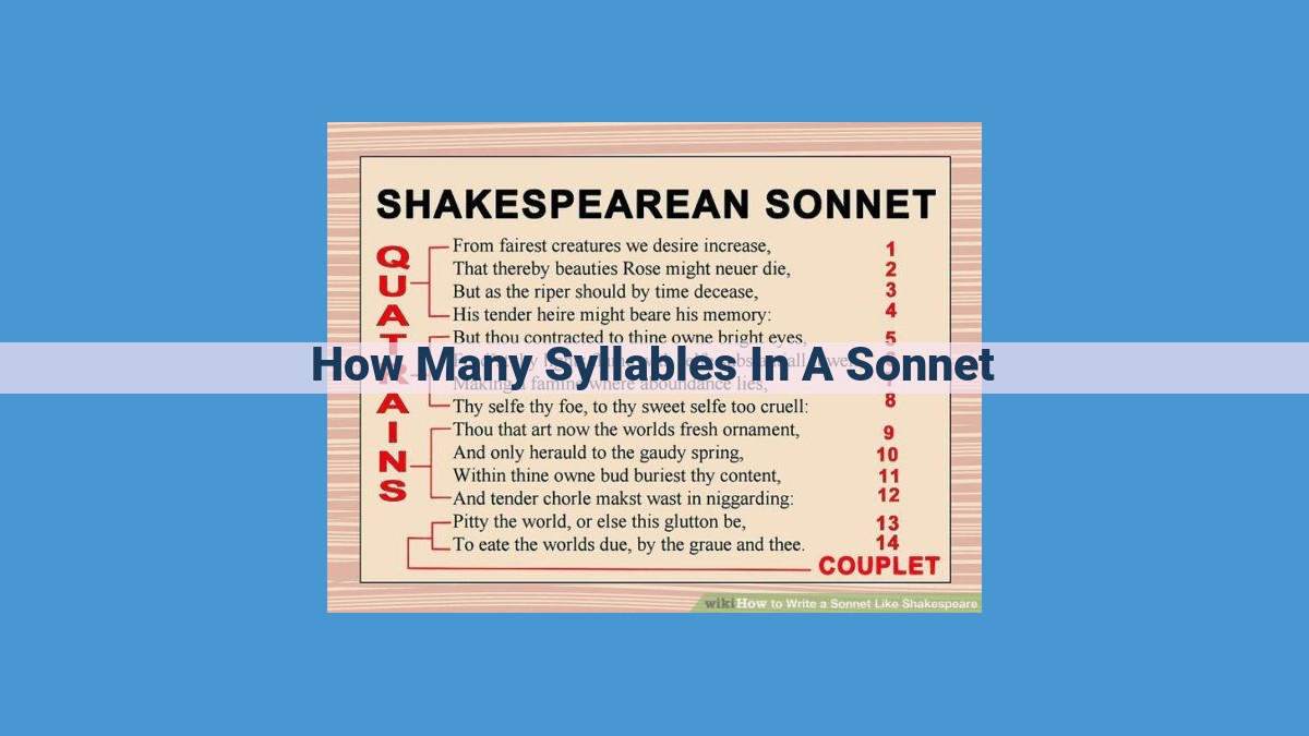 Understanding Sonnet Structure: Syllable Count and Metrical Patterns