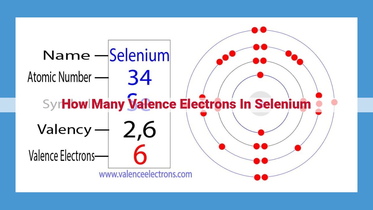 Selenium: Versatile Chalcogen with Six Valence Electrons and High Reactivity