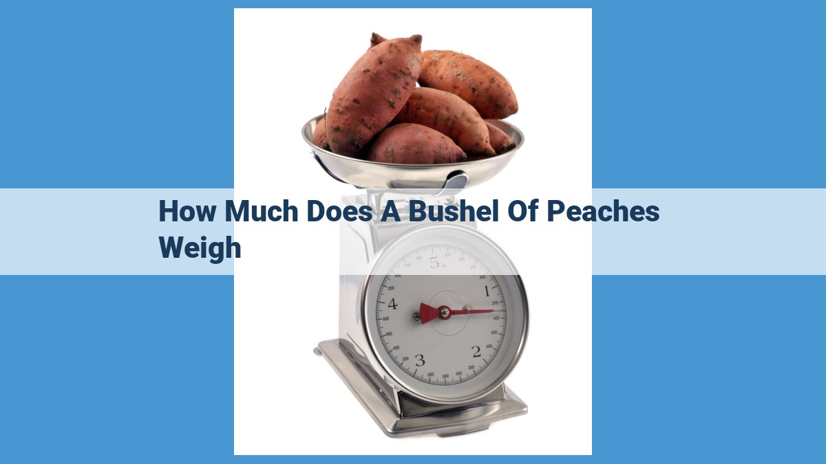 Peach Bushel Weight: Factors, Measurement Methods, and Harvest Considerations