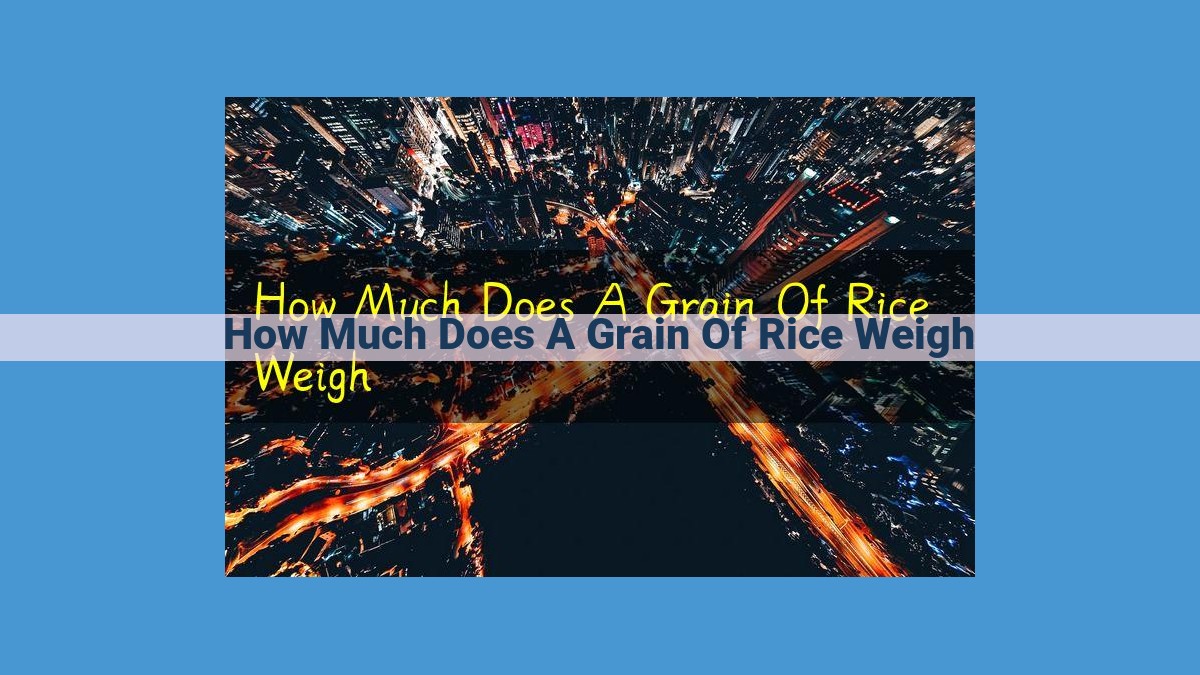 Understanding Rice Grain Weight: Essential for Cooking, Portions, and Packaging