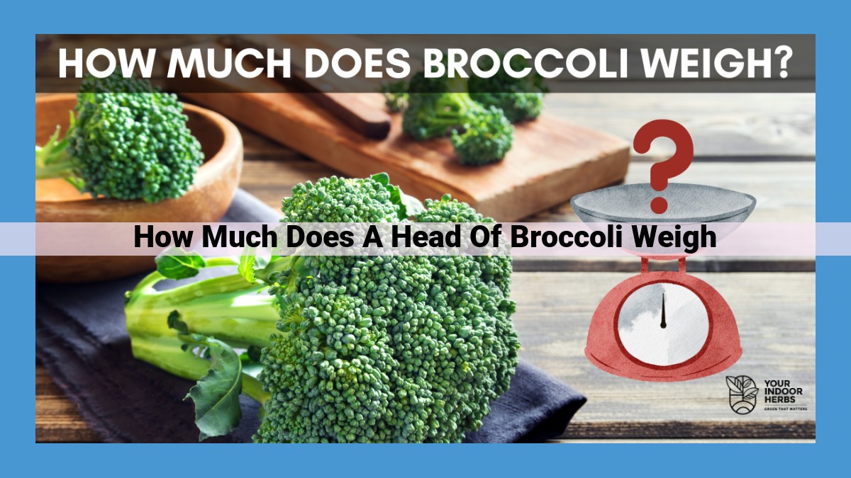 Broccoli Head Weight: Calculating the Average Mass of Broccoli Florets and Stem