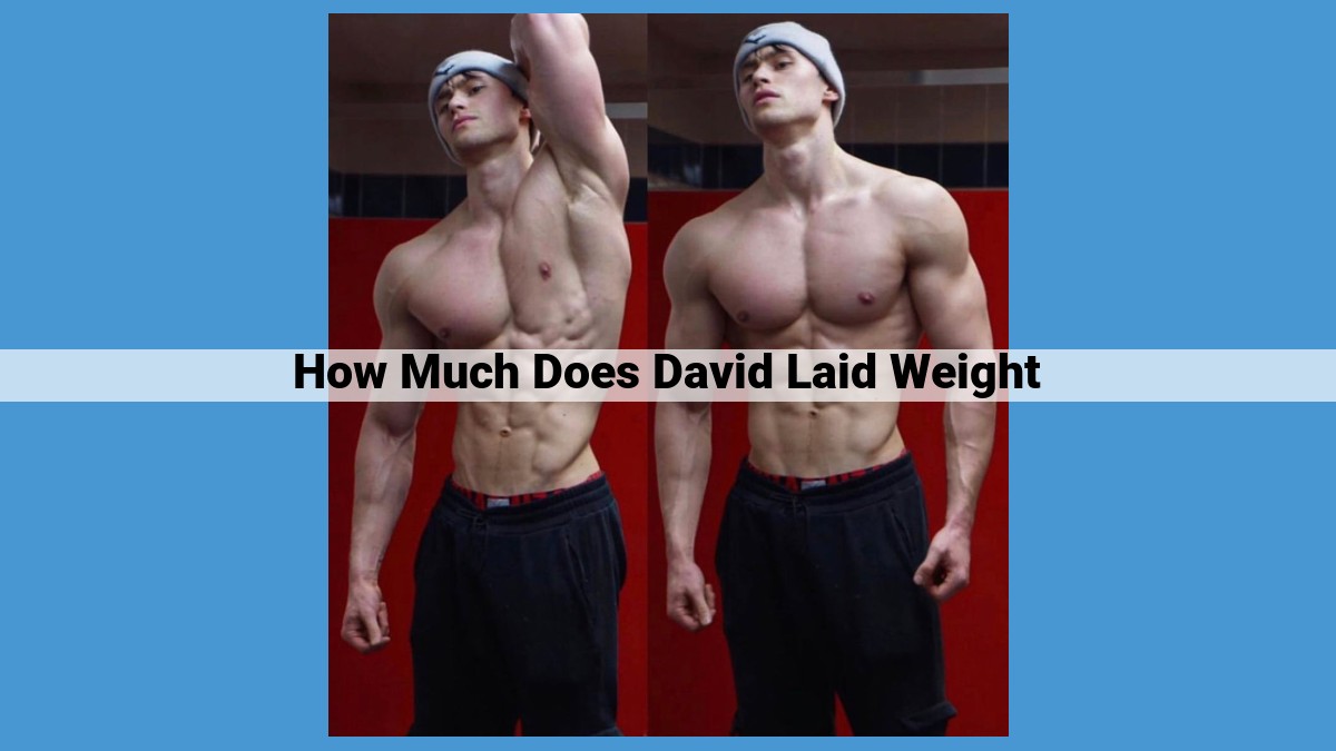 David Laid: Physique Transformation, Weightlifting, and Bodybuilding Journey