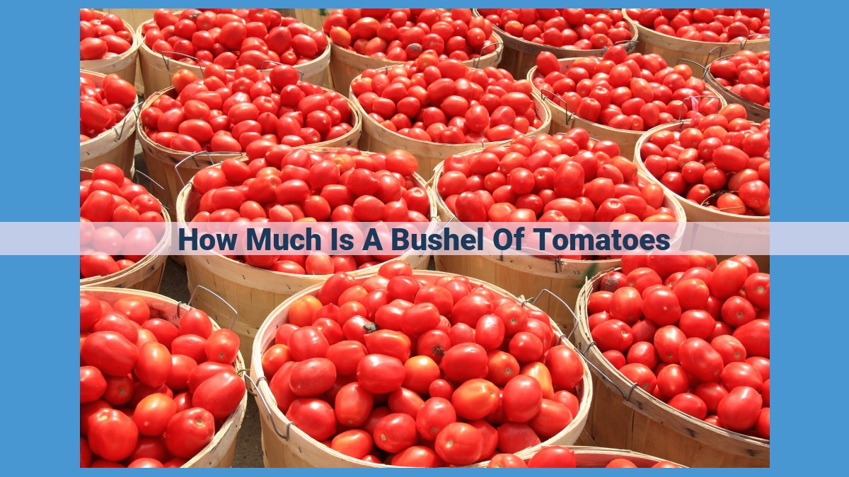 Factors Influencing Tomato Bushel Prices: Market Dynamics, Seasonality, and Retail Options