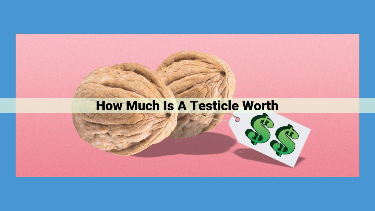 Quantifying the Value of a Testicle: Legal, Medical, and Insurance Considerations