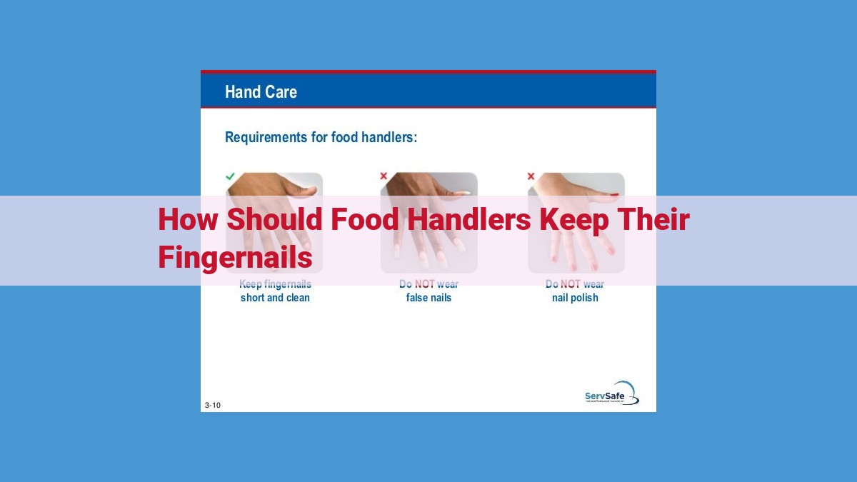 Nail Hygiene for Food Handlers: Maintaining Clean and Safe Nails in the Food Industry