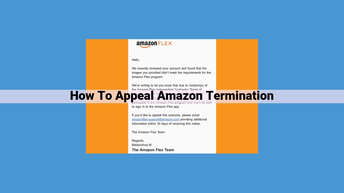 The Comprehensive Guide to Appealing an Amazon Termination