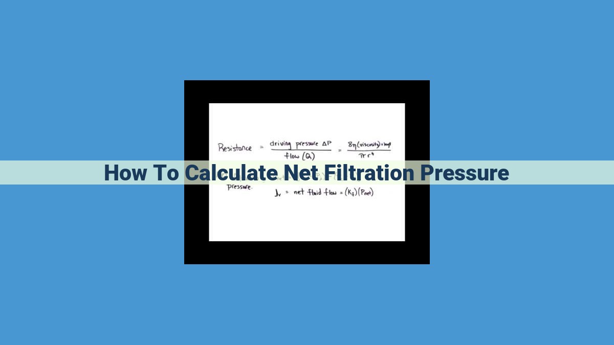 Understanding Net Filtration Pressure (NFP): A Key Indicator of Glomerular Filtration and Renal Function