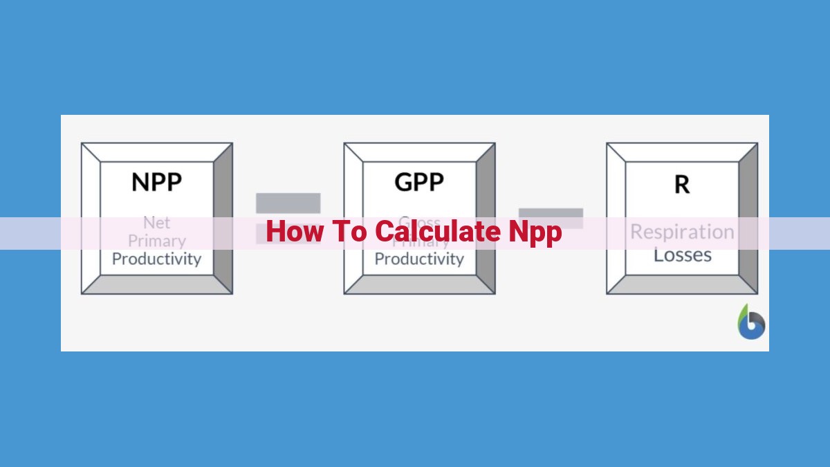 Measure Ecosystem Productivity with Net Primary Productivity (NPP): A Guide