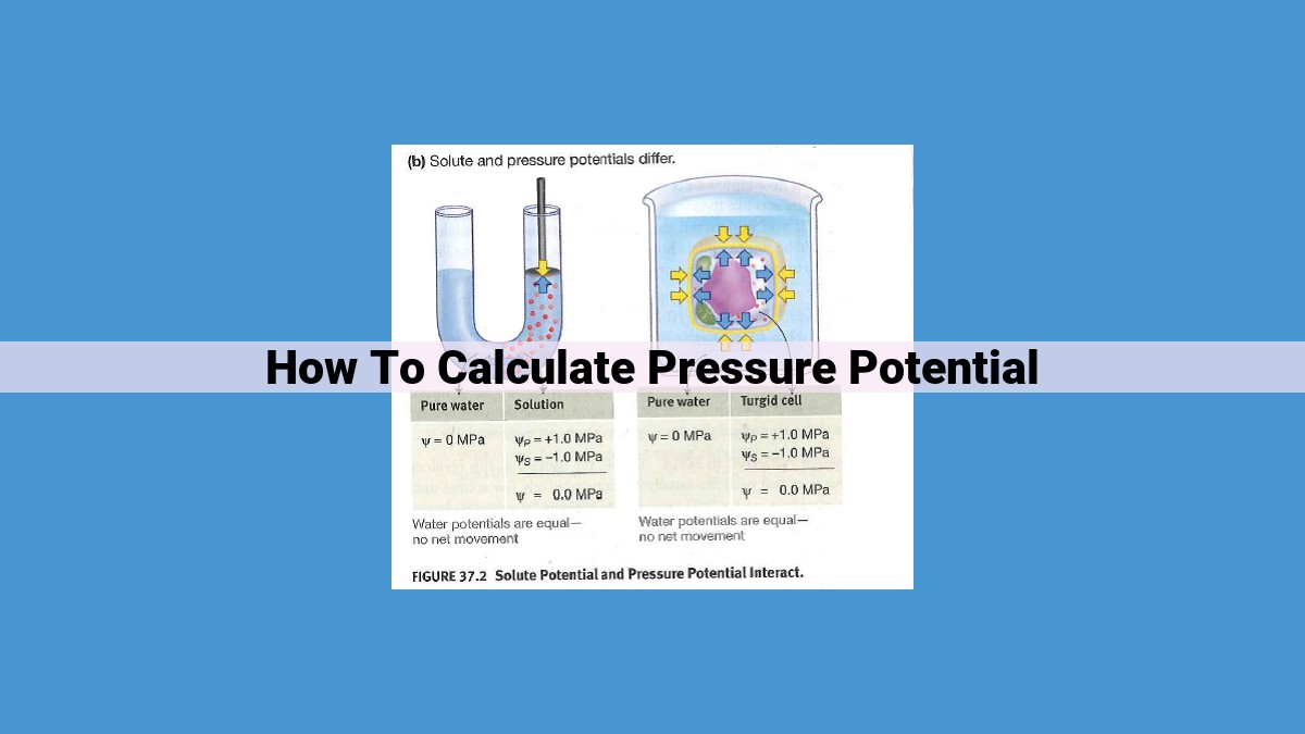 Calculate Pressure Potential: Determine Water Flow in Plants