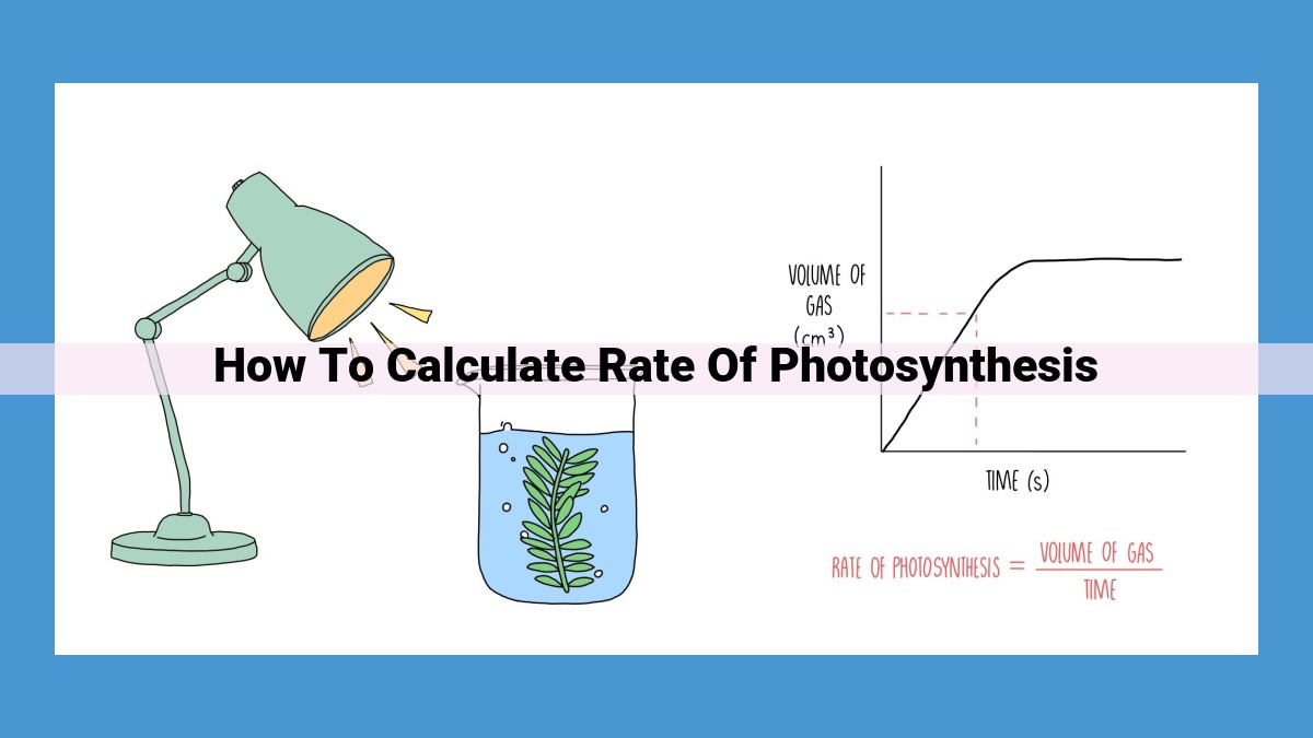 Unlocking the Secrets of Photosynthesis: Measuring Rates and Optimizing Conditions