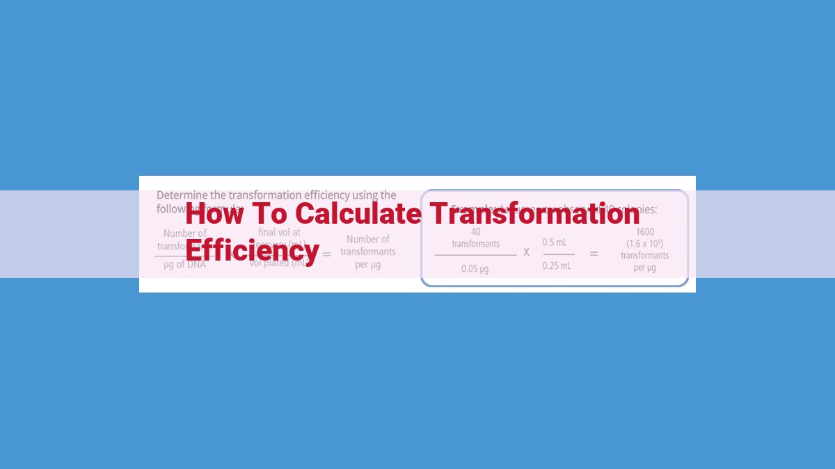 Enhance Genetic Engineering: Optimizing Transformation Efficiency for Biotechnology Applications