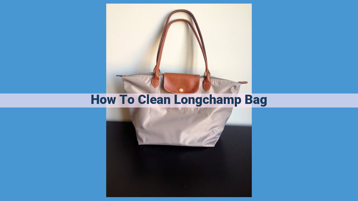 The Ultimate Guide to Cleaning Longchamp Bags: A Step-by-Step Breakdown