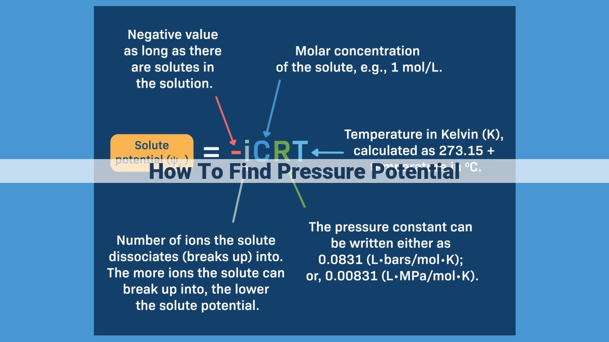 Unraveling Pressure Potential: A Key to Understanding Plant Water Relations and Optimization