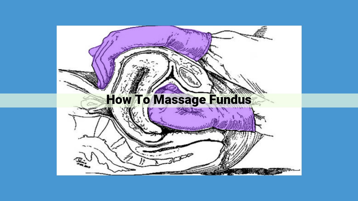 Comprehensive Fundus Massage Guide: Techniques, Benefits, and Considerations