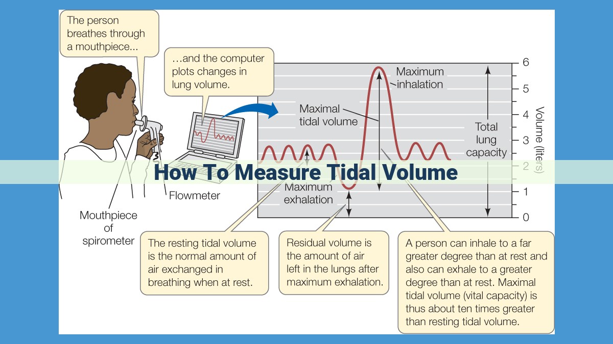 Measure Tidal Volume: Essential Lung Function Assessment Techniques