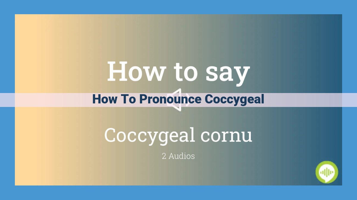 Pronunciation of Coccygeal: Variations and Correct IPA Transcription