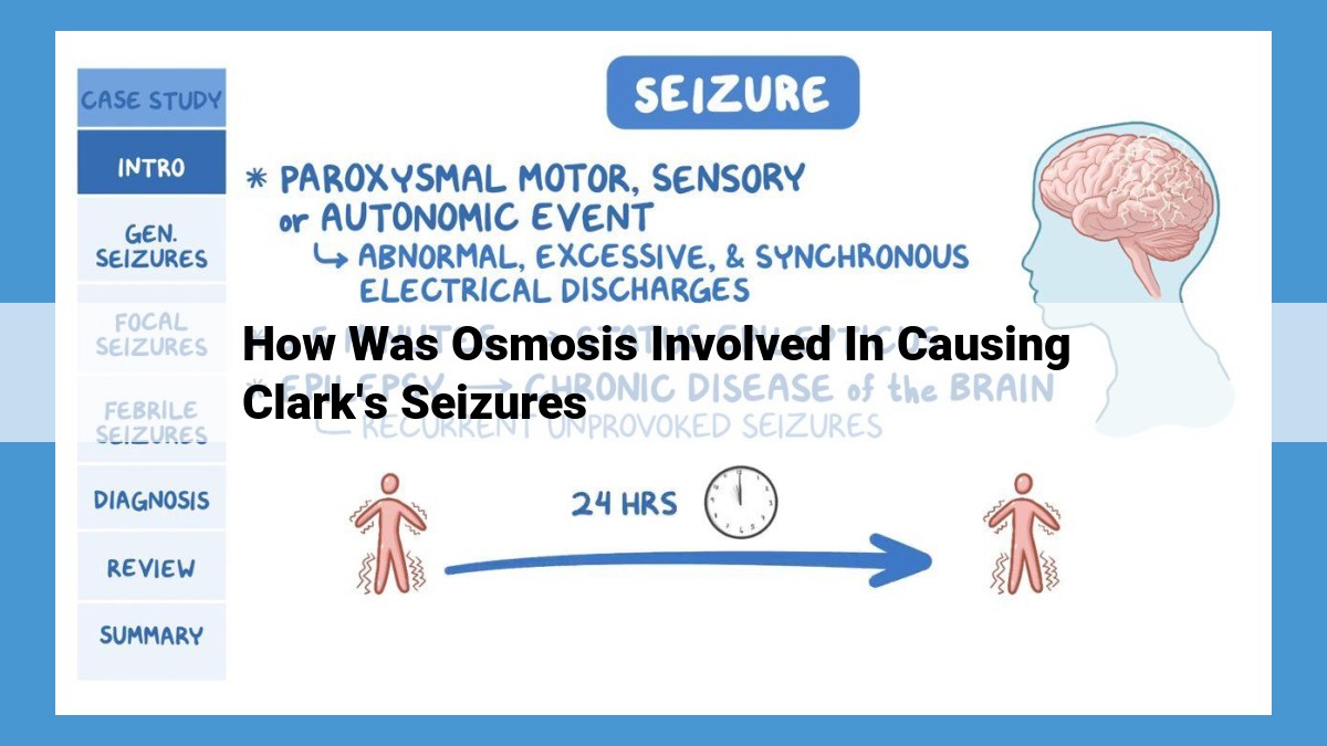 Osmosis and Seizures: Exploring the Link and Potential Therapeutic Implications