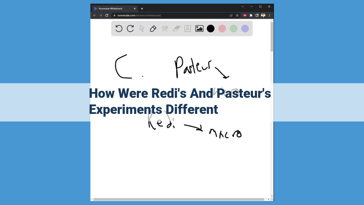 Disproving Spontaneous Generation: Redi and Pasteur's Groundbreaking Experiments