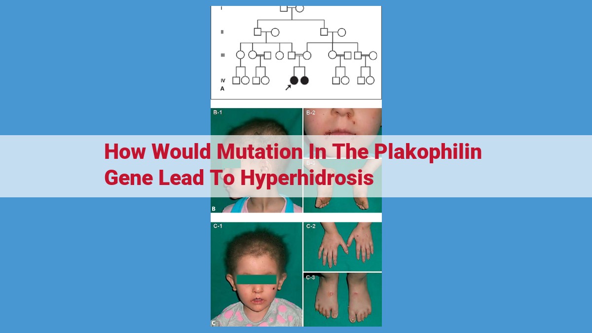 The Genetic Basis of Hyperhidrosis: Unraveling the Role of Plakophilin Mutations in Excessive Sweating