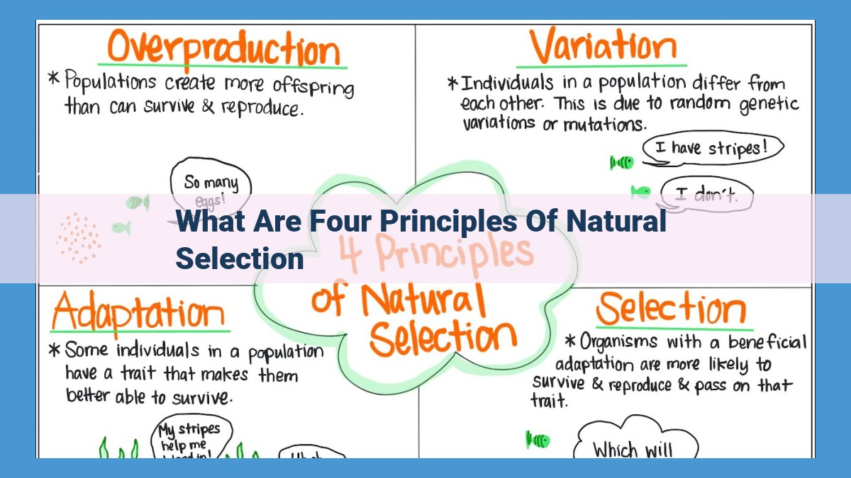 Mastering the Four Principles of Natural Selection for Evolutionary Understanding and Environmental Adaptation