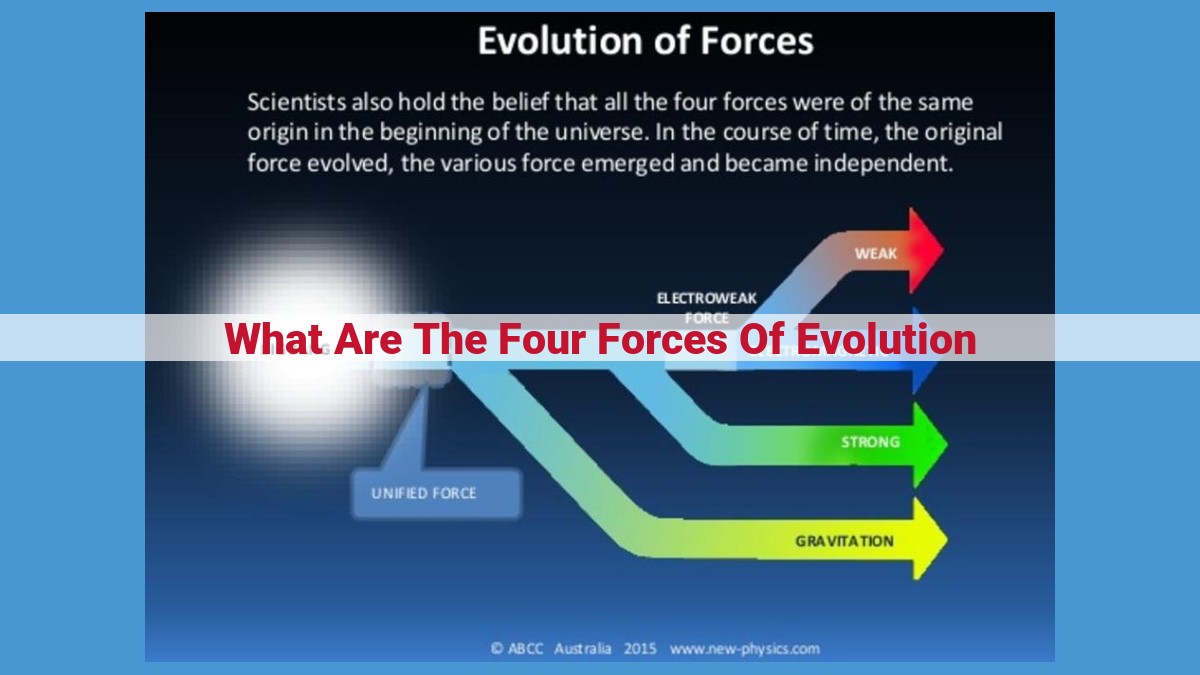 Unlock the Power of Evolution: The Four Driving Forces Unveiled