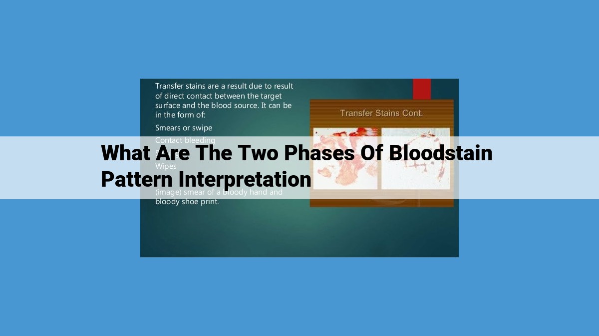 Unlocking Bloodstain Patterns: A Guide to Crime Scene Analysis