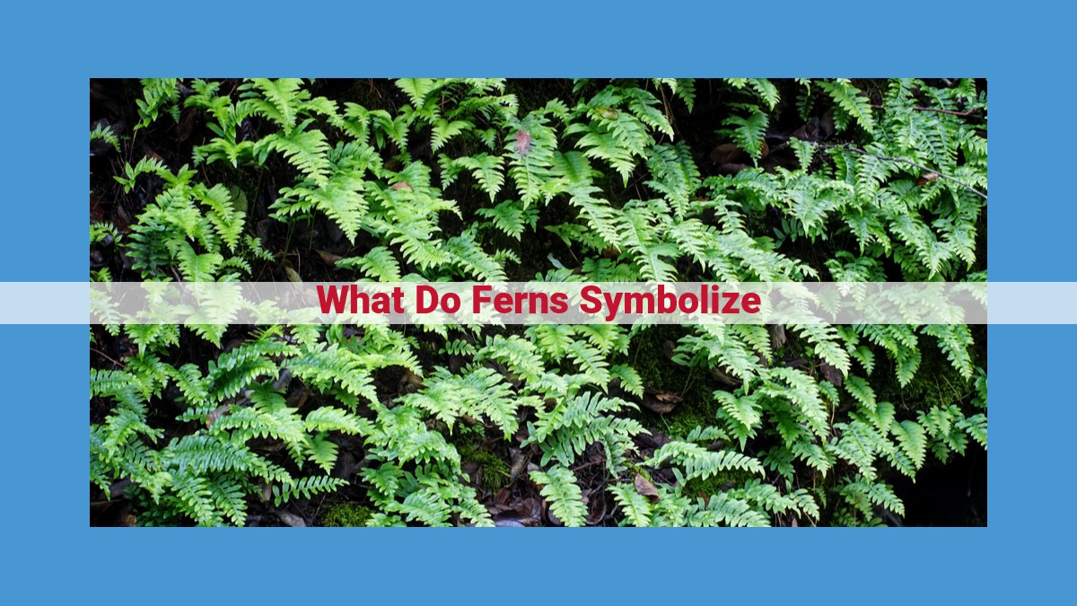 Unveiling the Symbolic Significance of Ferns: Growth, Healing, and Divine Favor