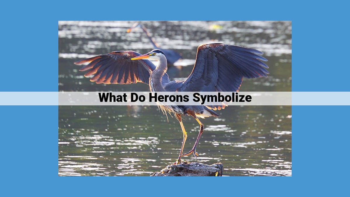 The Spiritual Symbolism and Meaning of the Heron: Embracing Patience, Wisdom, and Grace