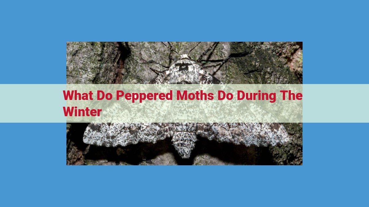 Surviving Winter: Adaptions of Peppered Moths to Endure Harsh Conditions