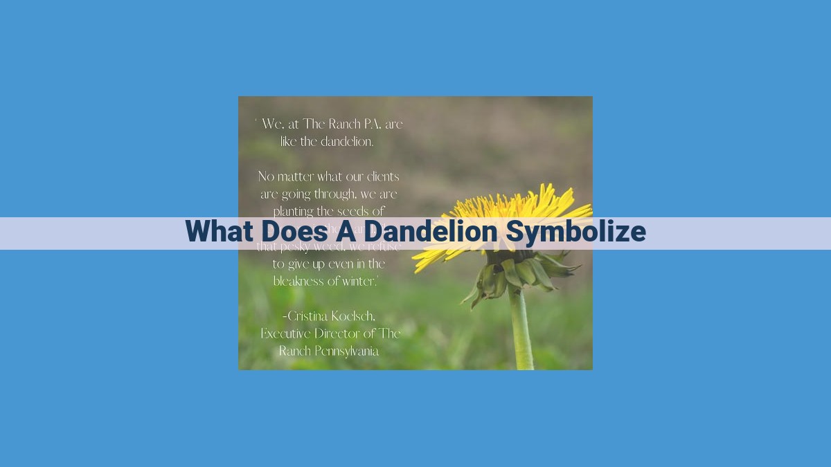 Title: The Dandelion: A Symbol of Resilience, Hope, and Transformation