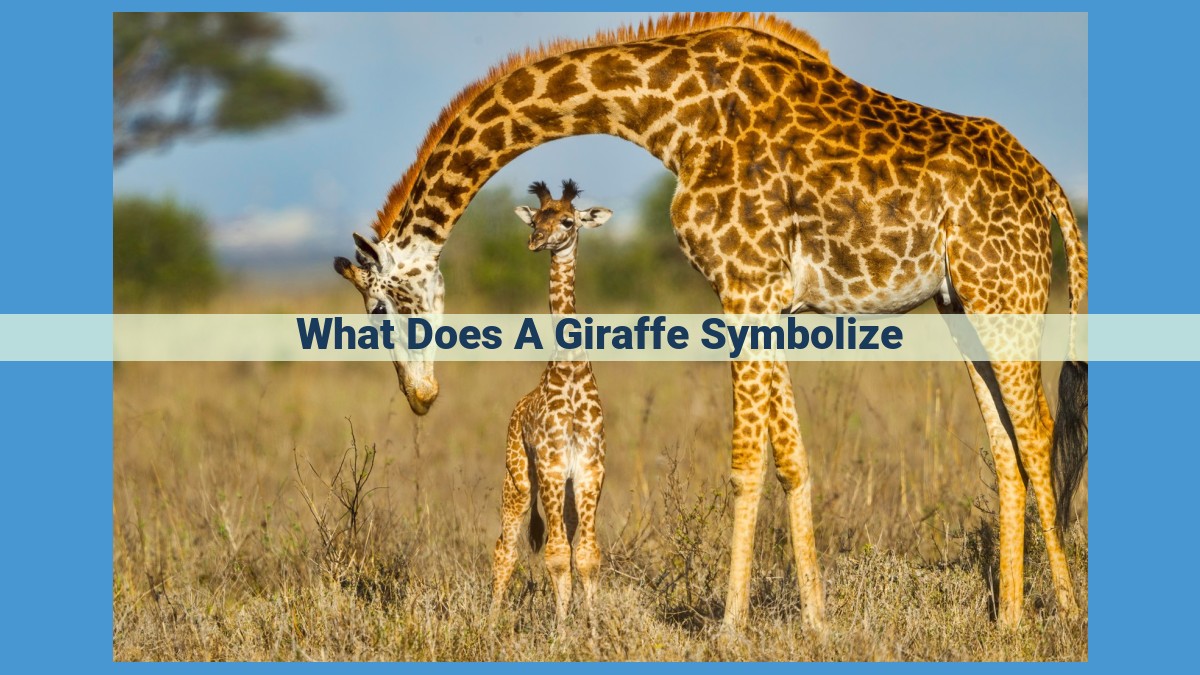 Unveiling the Symbolism of the Giraffe: Beauty, Resilience, and Wisdom