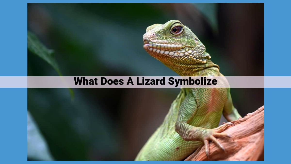 Lizards: Symbols of Transformation, Healing, and Intuition