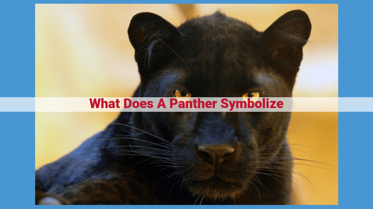 The Enigmatic Panther: Symbolism, Meaning, and Cultural Significance