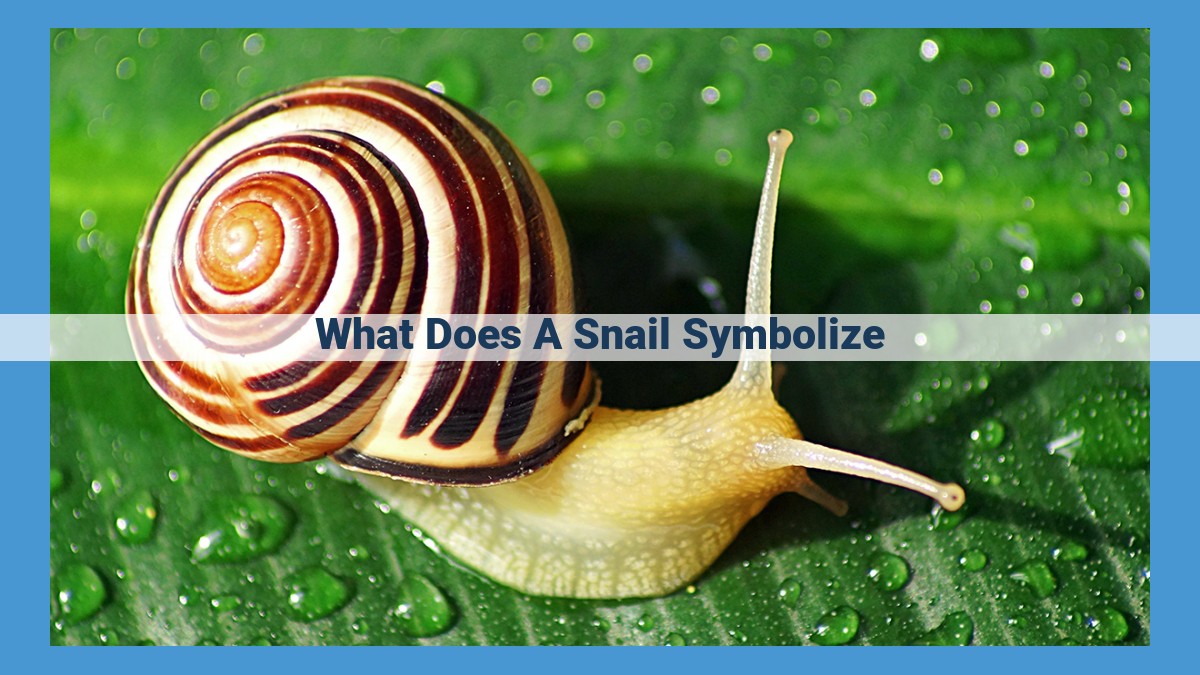 Uncover the Symbolism of the Snail: Rebirth, Transformation, and Spiritual Growth