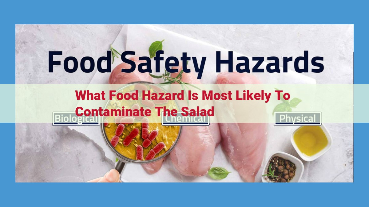 Bacterial Hazards in Salads: Threat Assessment and Prevention