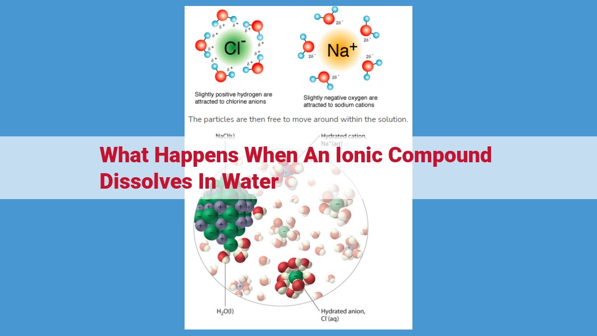 Ionic Compounds: Ionization, Hydration, Solvation, and Solution Properties in Water