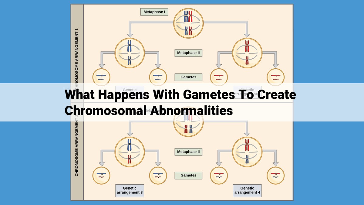 Chromosomal Abnormalities in Gametes: Causes, Consequences, and Genetic Implications