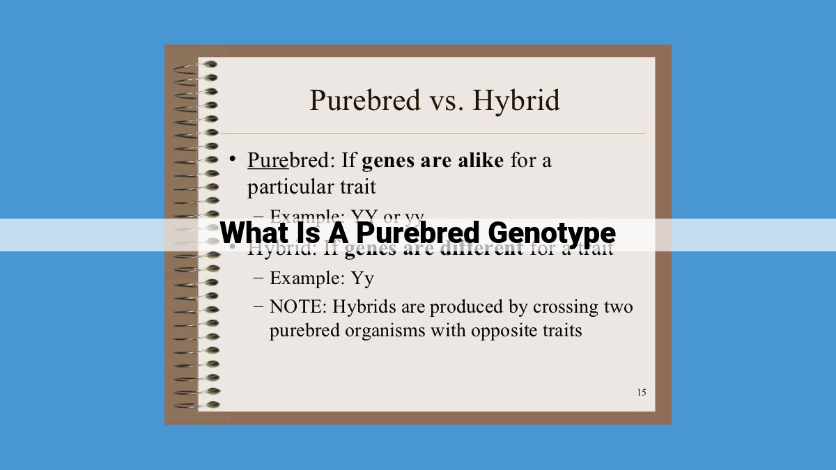 Unlocking Genetic Purity: Understanding Purebred Genotypes for Breeding Success