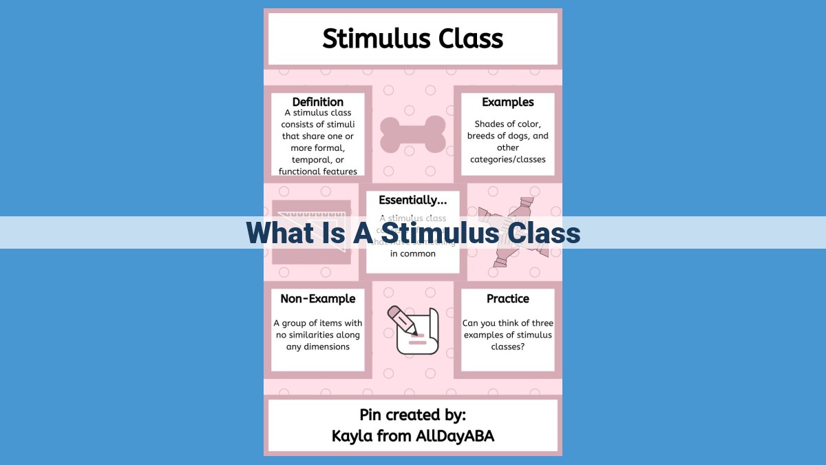 Understanding Stimulus Classes: How Shared Features Shape Our Responses and Cognitive Processes