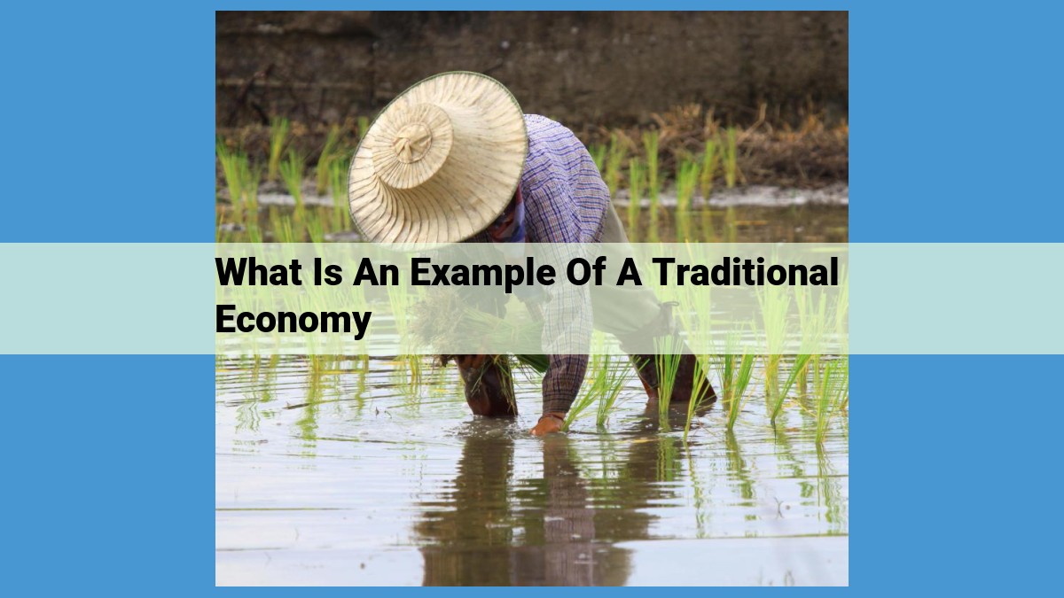 Understanding Traditional Economies: Custom, Barter, and Community Ties