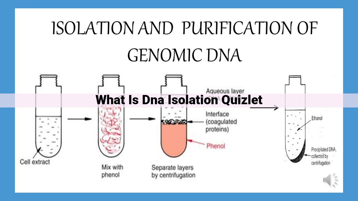 Optimize Title: DNA Isolation: The Comprehensive Guide to Extracting DNA from Cells for Genetic Analysis