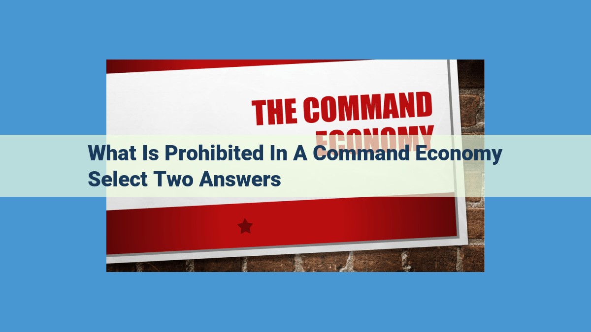 Understanding Command Economy: Government Control of Businesses and Consumer Choices